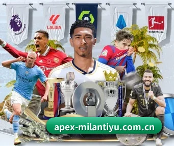 米兰体育网页版 APP | ACMILAN